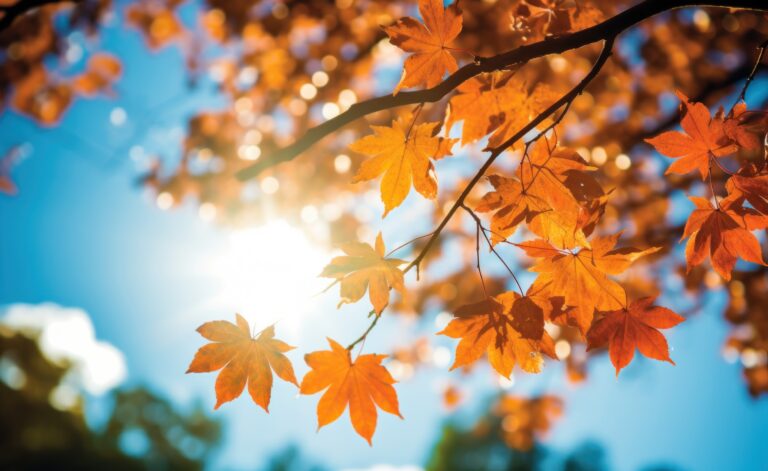 Autumn leaves background